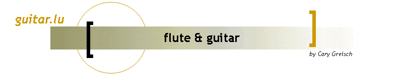 flute & guitar