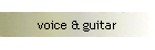 voice & guitar